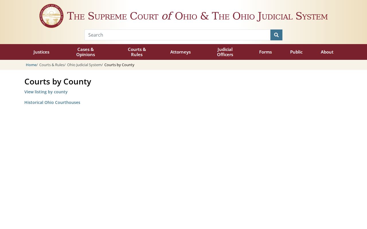 Pike County court docket Ohio trial courts directory